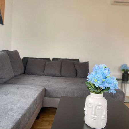 Luxury Apartment With Air Conditioning & Jaccuzzi Near Frankfurt Wiesbaden Hofheim am Taunus Buitenkant foto