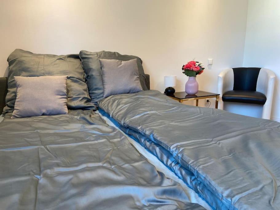 Luxury Apartment With Air Conditioning & Jaccuzzi Near Frankfurt Wiesbaden Hofheim am Taunus Buitenkant foto