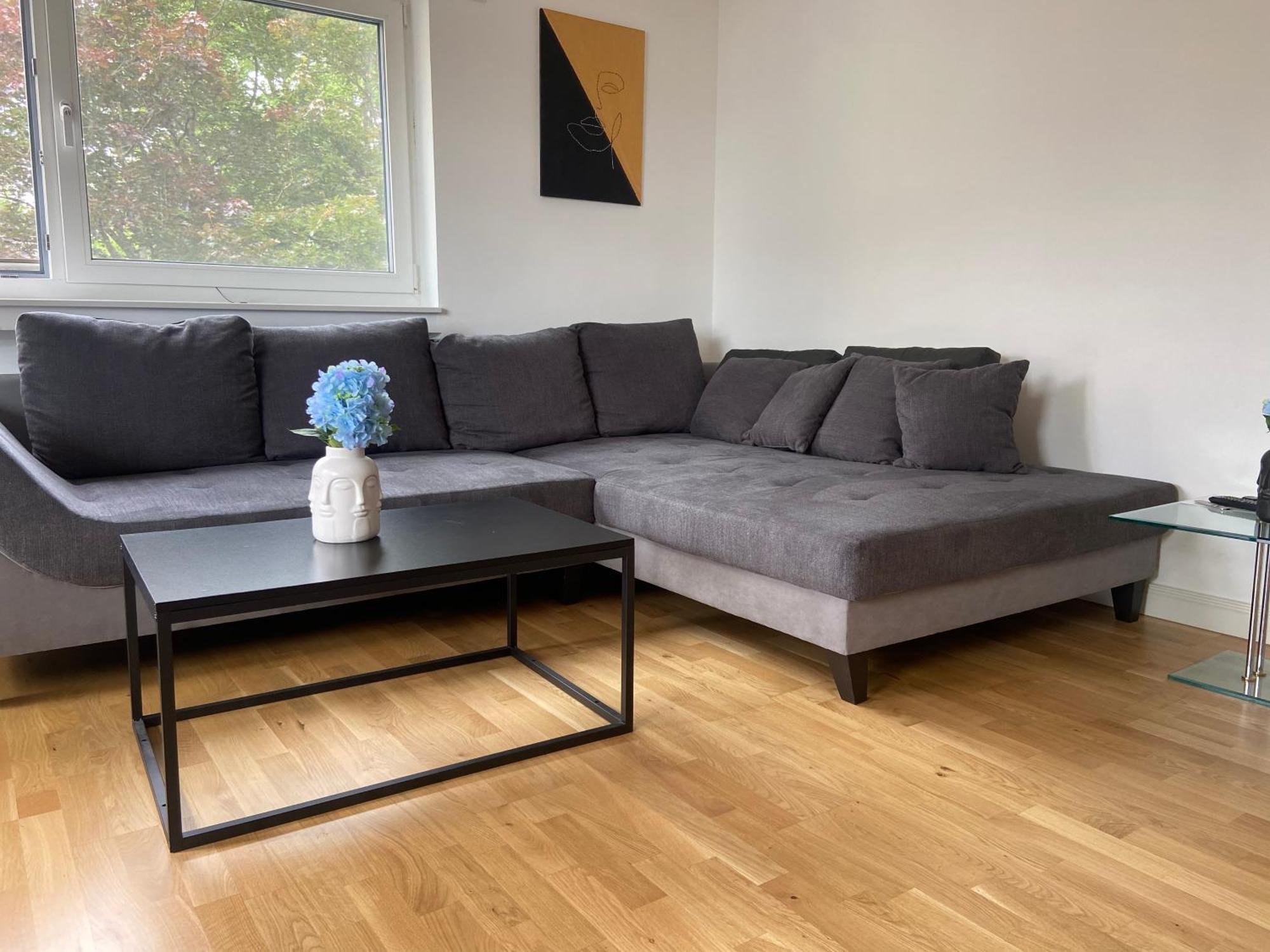 Luxury Apartment With Air Conditioning & Jaccuzzi Near Frankfurt Wiesbaden Hofheim am Taunus Buitenkant foto